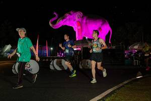 BIB: 
                            <button type="button" onclick="openModal(26542848)" class="btn btn-primary btn-sm float-right btn-popup" data-toggle="modal" data-target=".modal-high-quality">
                        <i class="fas fa-shopping-cart"></i> Add to Cart
                    </button>
                                            <button type="button" onclick="isThisMe(26542848, true)" class="btn btn-success btn-sm float-right btn-popup btn-isme hidden" data-toggle="tooltip" data-placement="bottom" title="นี่คือรูปของคุณใช่ไหม คลิกที่นี่เพื่อเอาเข้าอัลบั้ม">
                        <i class="fas fa-plus"></i> Add to album
                    </button>
                    <button type="button" onclick="isThisMe(26542848, false)" class="btn btn-warning btn-sm float-right btn-popup btn-isnotme hidden">
                        <i class="fas fa-ban"></i> Remove from album
                    </button>